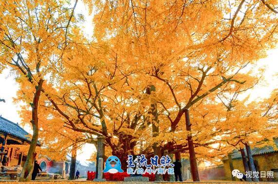 QQ截图20181211135043.jpg